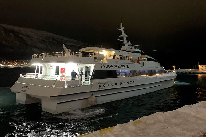 Whale Safari in Tromso - Meeting Point and Departure Logistics