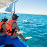 Whale sharks and sea lions snorkeling plus Balandra beach lunch - The Excursion to the Whale Shark Zone