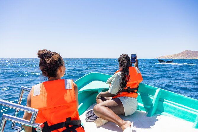 Whale Tour c/ Certified Guide, Photos & Hydrophone - Scenic Photo Stops at El Arco de Cabo San Lucas and Other Highlights
