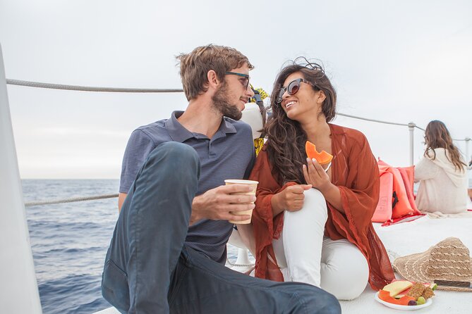 Whale Watching Amazing Adventure - Catching Sight of Baja’s Migrating Whales