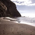 Whale Watching and Listening Eco Catamaran Tour with Food Tasting - Spacious Open Deck Designed for Wildlife Viewing and Sunbathing