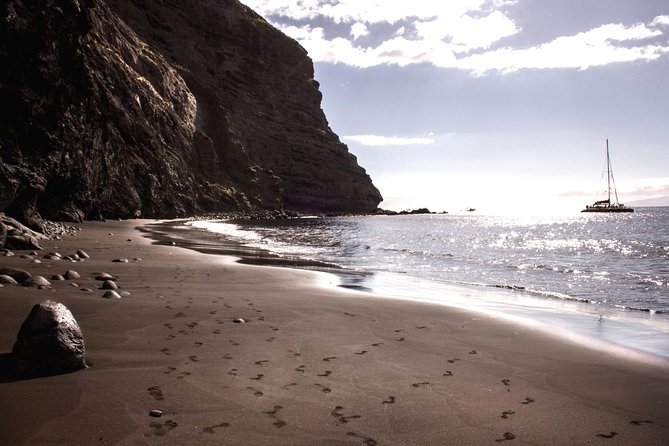 Whale Watching and Listening Eco Catamaran Tour with Food Tasting - Spacious Open Deck Designed for Wildlife Viewing and Sunbathing