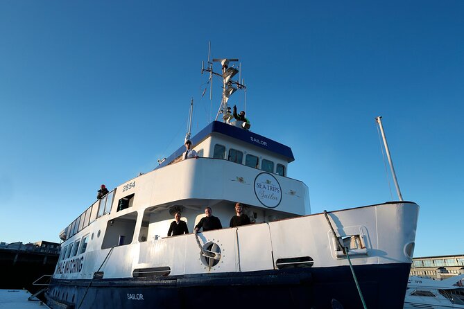 Whale Watching and Marine Life Tour in Reykjavik - The Wildlife Encounters You Can Expect