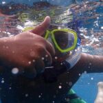 Whale Watching Catamaran Cruise with Transfer, Buffet by MC - Meeting Point and Accessibility in Puerto Colon