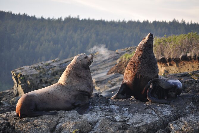 Whale Watching + Deception Pass Tour from Seattle - Exploring Deception Pass State Park