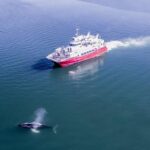 Whale Watching from Downtown Akureyri - The Speed and Design of the Whale Watching Vessel