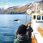 Whale Watching in Husavik - The Traditional Oak Boat Experience in Skjálfandi Bay