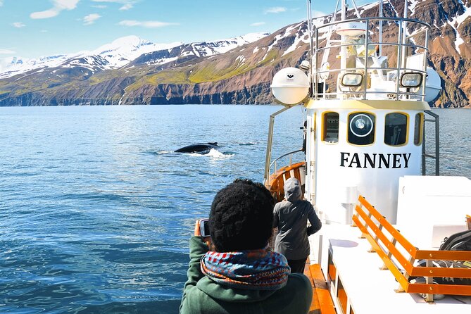 Whale Watching in Husavik - The Traditional Oak Boat Experience in Skjálfandi Bay
