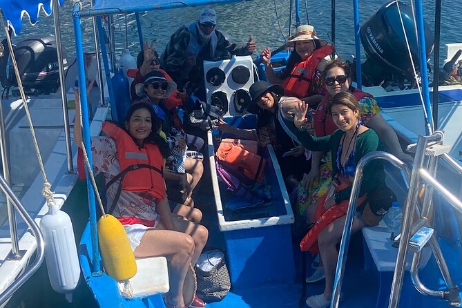 Whale Watching on a Glass Bottom Boat - Viewing Land’s End (El Arco) and the Sea Lion Colony