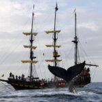 Whale-Watching Pirate Ship Cruise in Los Cabos - Meeting Point and Timings: Starting at 9:00am
