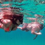 Whale Watching & Snorkeling Combo in Los Cabos with Photos Included - Setting Out on a Speed Boat Designed for Marine Viewing