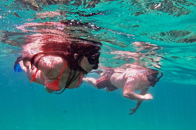 Whale Watching & Snorkeling Combo in Los Cabos with Photos Included - Setting Out on a Speed Boat Designed for Marine Viewing