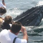 Whale Watching Tour in Gloucester - Navigating the Stellwagen Bank Marine Sanctuary