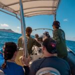 Whale Watching Tour in Waikiki Intimate Adventure on Oahu - Educational Commentary from Experienced Guides