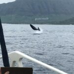Whale Watching Tour: Whales Guaranteed in Kona Waikoloa - The Scenic Departure from Waikoloa Village to the Kona-Kohala Coast