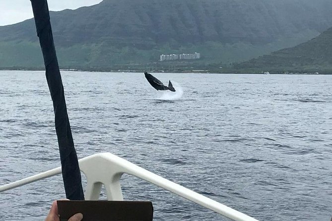 Whale Watching Tour: Whales Guaranteed in Kona Waikoloa - The Scenic Departure from Waikoloa Village to the Kona-Kohala Coast