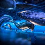 Whales Of Iceland Admission Ticket - What Makes the Whale Models Stand Out
