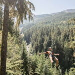 Whistler Zipline Experience: Ziptrek Bear Tour - Starting Point at Whistler Village and Transportation Details