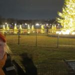 White House National Christmas Tree & Holiday Light Bus Tour - Starting Point at the White House Visitor Center