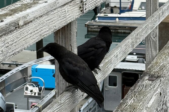 Whittier Drive and Coastal Alaska Full Day Adventure - Starting Point and Tour Duration