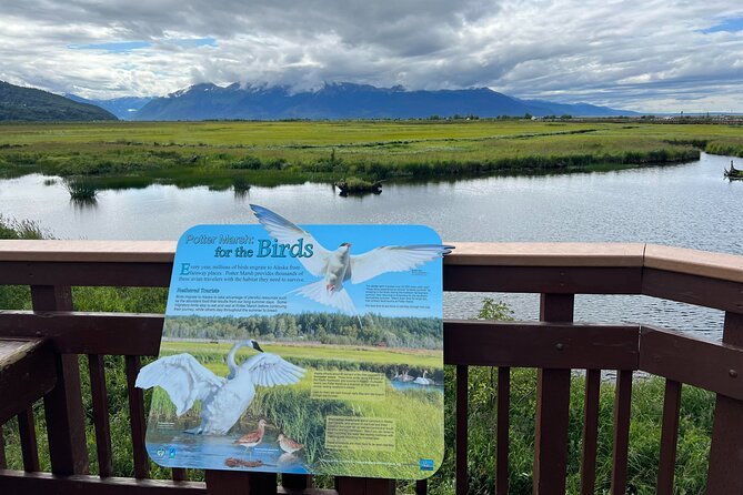 Whittier to Anchorage Land Transfer Tour With AWCC - Convenient Pickup and Group Size