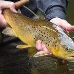 Wild Brown Trout fishing. Lough Corrib. French speaking Ghillie/Guide. Full day. - The Scenic Setting of Lough Corrib in Connemara