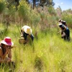 Wild experience: discover, cook & eat the local wild flora - A Closer Look at the Catalonia Wild Flora Tour