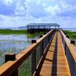 Wild Florida Adventure Package Tour with Transportation - Wild Florida Airboat Rides: 30 or 60 Minutes of Thrills