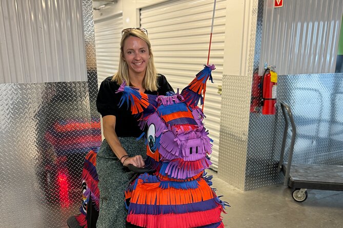 Wild Things Rydables Tour of Charlotte - How the Rydables Carts Work and Safety Measures