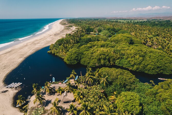 Wildlife Eco Tour on the coast of Oaxaca. - Exploring Ventanilla and Its Mangrove Reserve