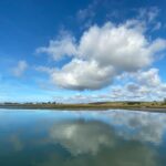 Wildlife Safari Boat Tour in Scenic Monterey Bay Wetland - Starting Point at Moss Landing and Its Marine Charm