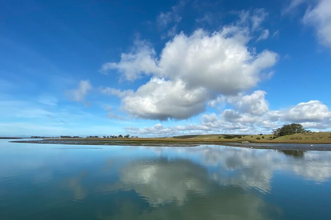 Wildlife Safari Boat Tour in Scenic Monterey Bay Wetland - Starting Point at Moss Landing and Its Marine Charm