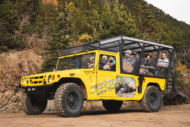 Wildside 4X4's Winter Wonderland Photo Tour - What Makes the Rocky Mountain National Park Special in Winter