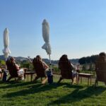 Willamette Wine Tour from McMinnville (Tasting Fees Included) - Visiting Elevee in Dundee Hills AVA