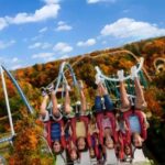 Williamsburg: Busch Gardens Ticket & Water Country Option - Starting Point and Park Accessibility