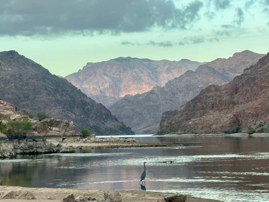 Willow Beach: Emerald Cave Kayak Tour & Optional Canyon Hike - Paddling Through the Black Canyon Narrows and Scenic Photo Stops