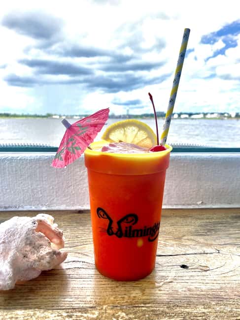 Wilmington: Eagles Island Cruise--Eco-History Cruise - The Two Routes Offer Different Perspectives on Wilmington