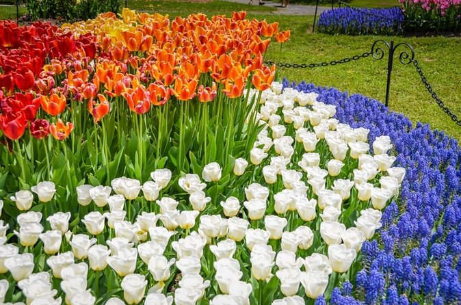 Windmill Island 1 Day Tour from Chicago | Kids 50% Off - Windmill Island Gardens and the Authentic De Zwaan Windmill