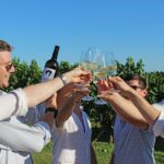 Wine and Food Tasting in the Vineyards in Lazise - Guided Tasting of Lake Garda Wines