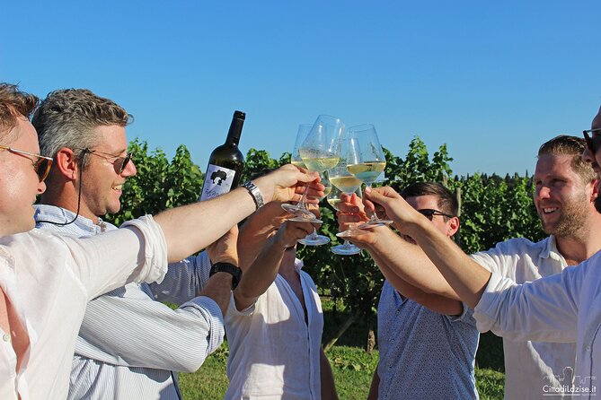 Wine and Food Tasting in the Vineyards in Lazise - Guided Tasting of Lake Garda Wines