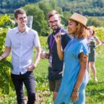Wine and Lunch Escape - Guided Tastings at Three Unique Wineries
