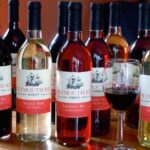 Wine and Wine Jelly-Sauce Tasting on Plymouth Bay - What Makes Plymouth Bay Winery’s Tasting Special