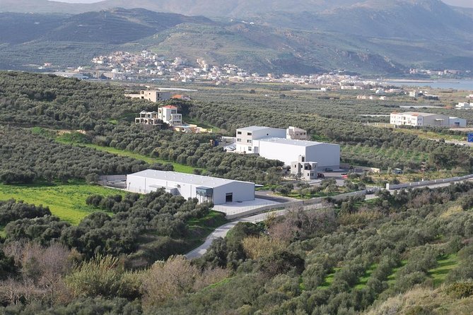 Wine, Beer, Olive Oil Tasting Private Tour (price per group of 6) - Visiting the Cretan Brewery: Craft Beer and Optional Food Pairings