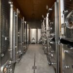 Wine cellar visit & tasting of organic Alsace wines - Exploring the Cellar and Winemaking Philosophy of Muriel