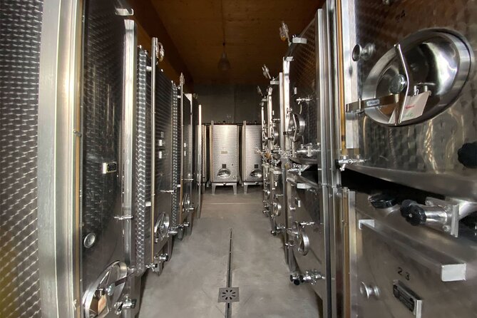 Wine cellar visit & tasting of organic Alsace wines - Exploring the Cellar and Winemaking Philosophy of Muriel