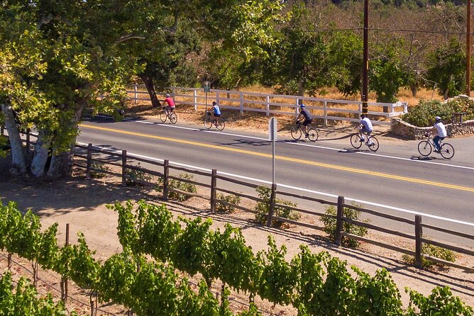 Wine Country Farm to Table Bike Tour w/Lunch - Santa Ynez: The Starting Point and Scenic Introduction