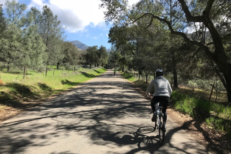 Wine Country Half-Day Bike Tour from Solvang - w/o Lunch - Exploring Los Olivos and Its Native Ecosystems