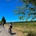 Wine excursion by electric bike guided by GPS Vallon Pont d'Arc - Scenic Cycling with GPS Guidance in the Ardèche Region