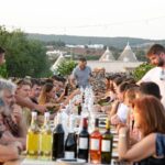 Wine Experience: vineyard, wines and food - The Charm of the Setting and Scenic Views