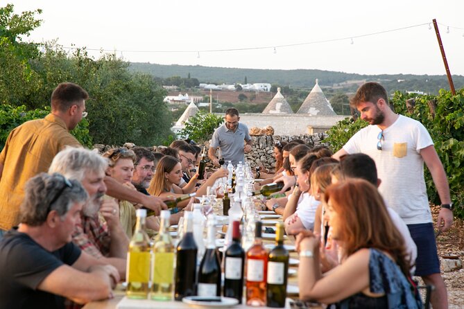 Wine Experience: vineyard, wines and food - The Charm of the Setting and Scenic Views